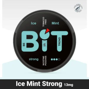 Best Bit Ice Mint Nicotine Pouches in Dubai UAE