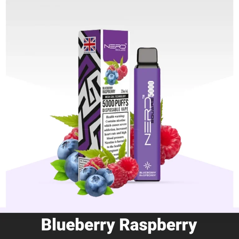 Nerd Square 5000 Blueberry Raspberry Disposable Vape