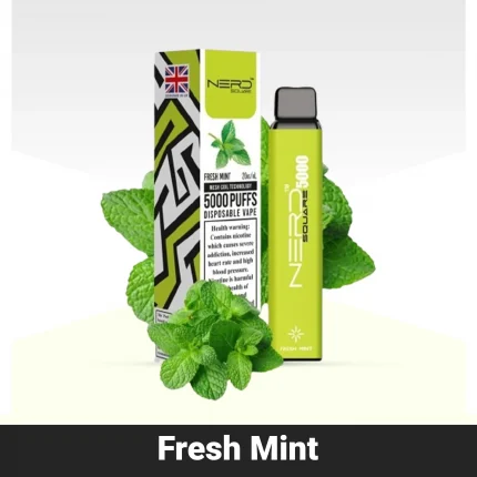 Nerd Square 5000 Fresh Mint Disposable Vape